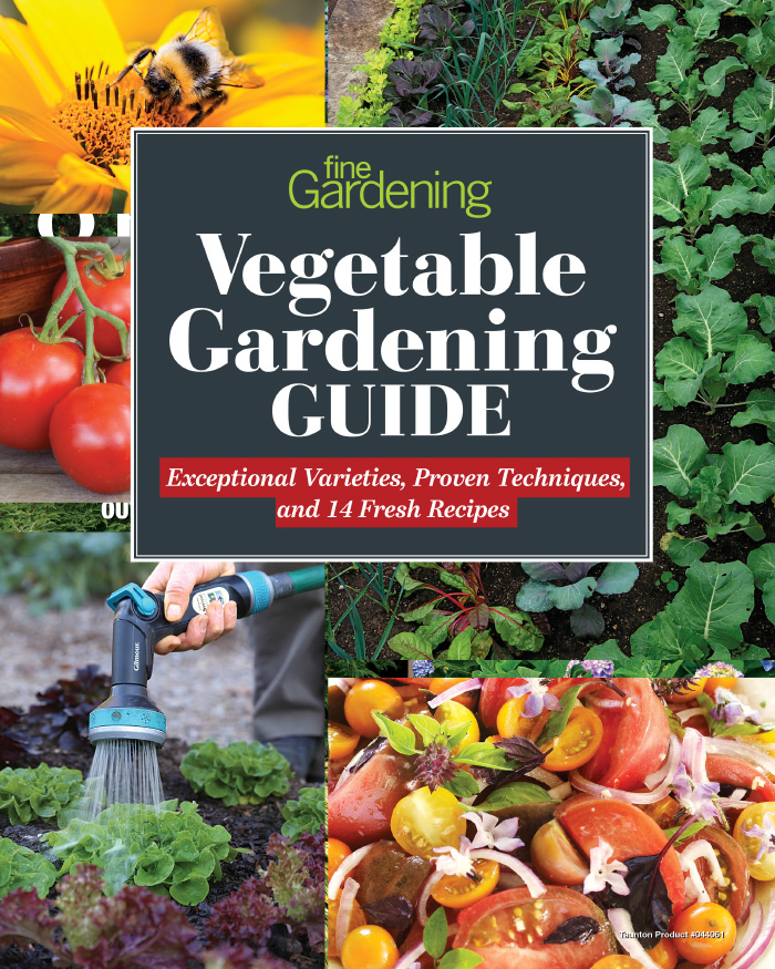 Vegetable Gardening Guide (Digital Issue)