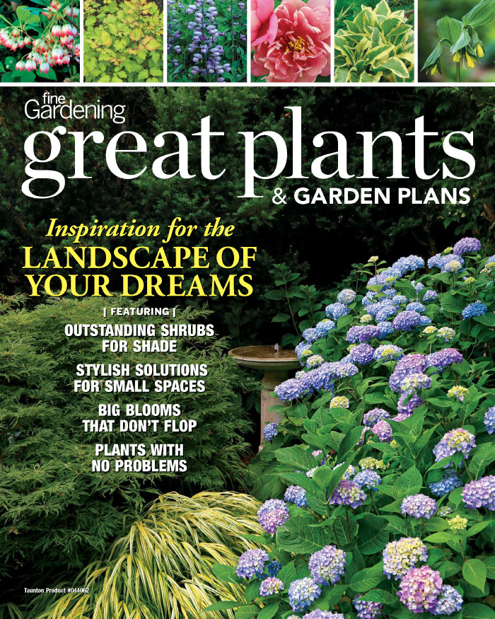 Great Plants & Garden Plans 