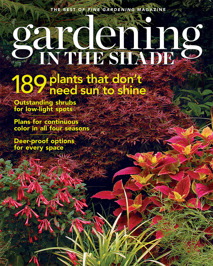 Gardening in the Shade (Digital Edition)